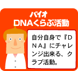 バイオDNAくらぶ活動：自分自身で『DNA』にチャレンジ出来る、くらぶ活動。