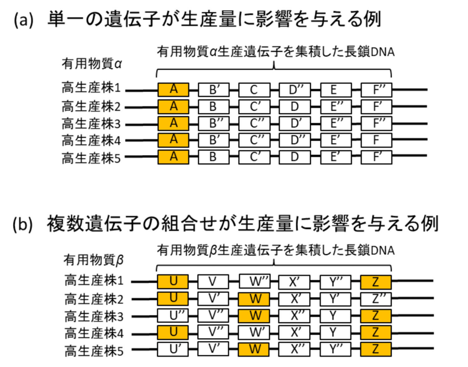 nedo smart cell project