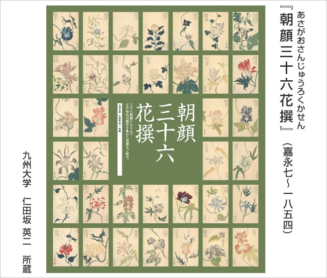 朝顔三十六花撰[写真]。三十六歌仙にちなんで、江戸時代の銘花を集めた図譜です。
