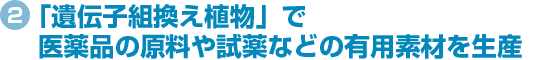 「遺伝子組換え植物」で、医薬品原料など有用素材を生産（3ページ中の1）